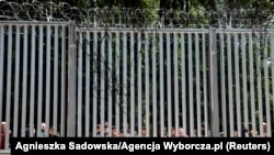 Мігранты на беларуска-польскай мяжы ў Белавескай пушчы. 2023 год