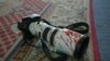 Will Latest Attacks Affect Foreign Media Coverage?