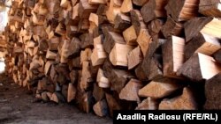 Min 500 ailənin hər birinə qışı yola vermək üçün, azı, 15 kubmetr odun gərəkdir
